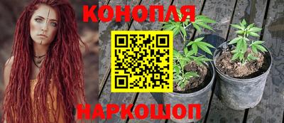 молекула духа Новокубанск